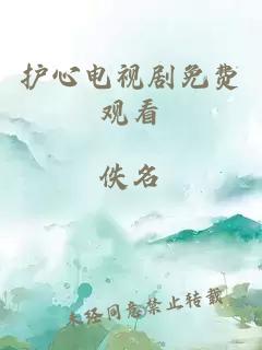 护心电视剧免费观看