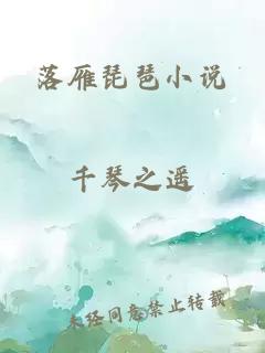 落雁琵琶小说
